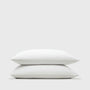 Organic Standard Pillow Cases (2 ct) - (Case of 12)