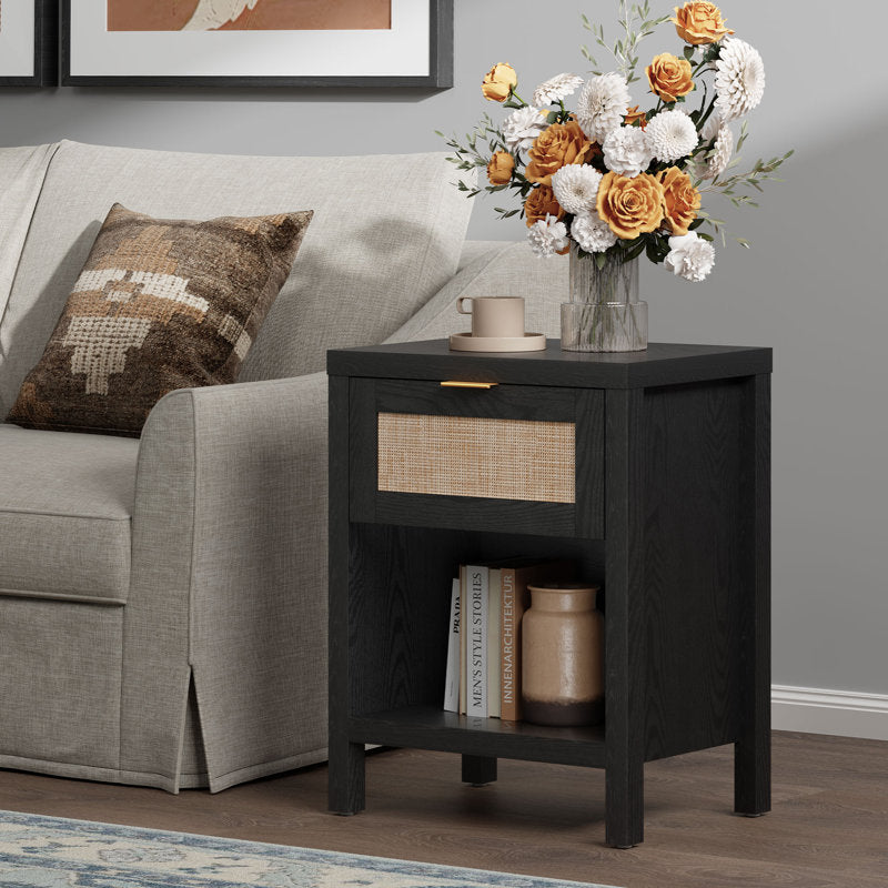 Alayha 19.7'' W Nightstand (Set of 2)