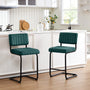 Ambrine Low Back Tufted Velvet Upholstered Counter/Bar Stool with Steel Sled Frame (Set of 2)