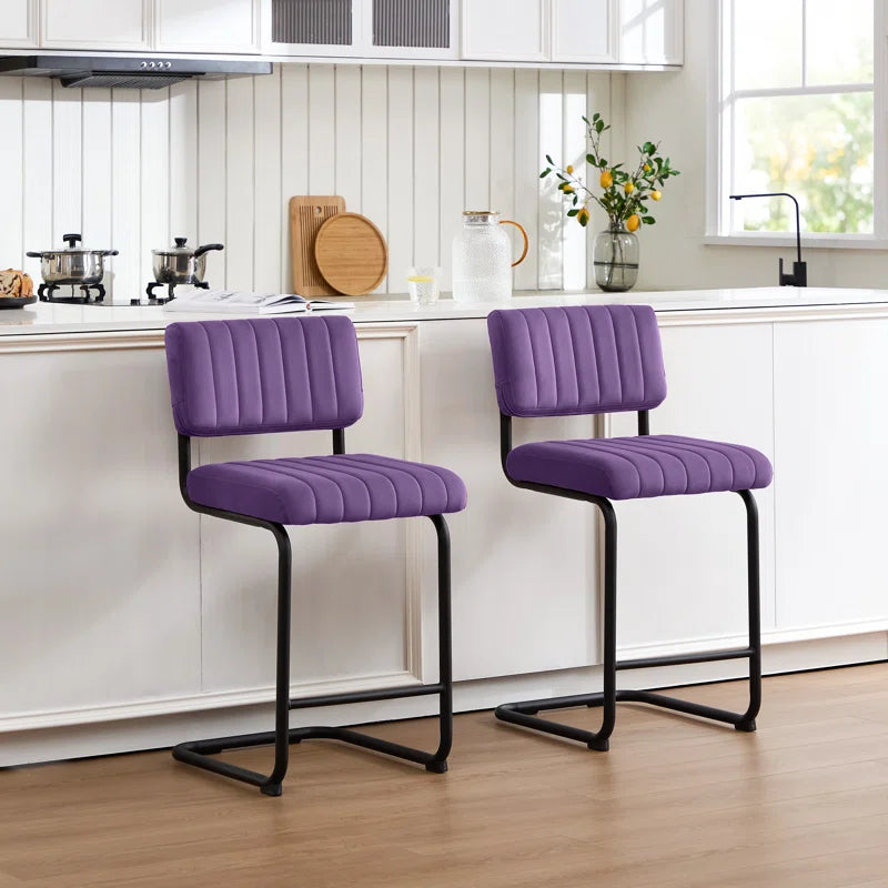 Ambrine Low Back Tufted Velvet Upholstered Counter/Bar Stool with Steel Sled Frame (Set of 2)