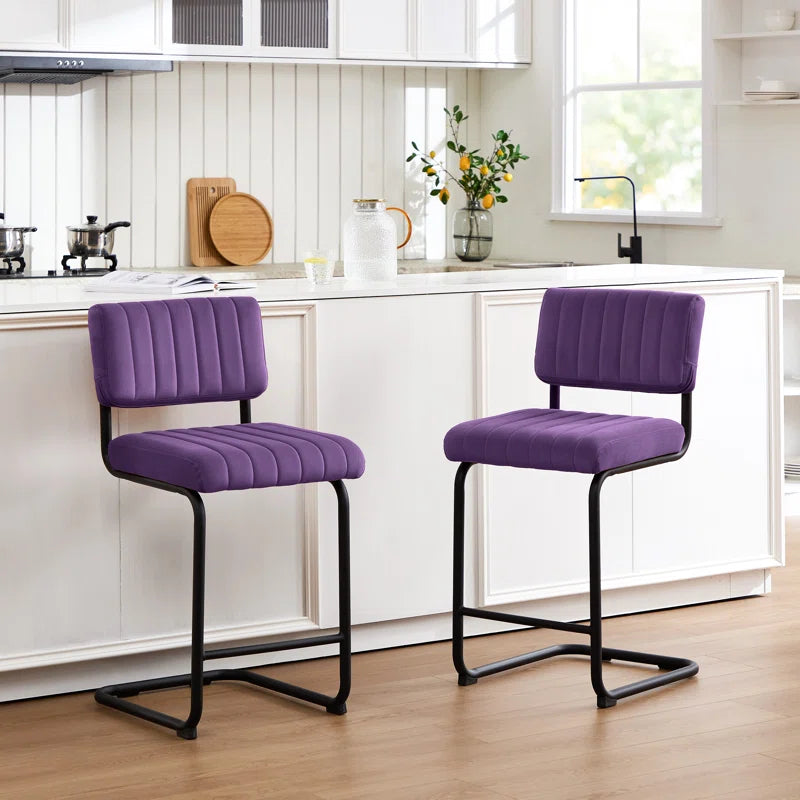 Ambrine Low Back Tufted Velvet Upholstered Counter/Bar Stool with Steel Sled Frame (Set of 2)