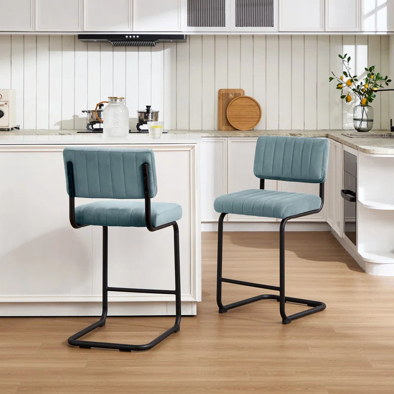 Ambrine Low Back Tufted Velvet Upholstered Counter/Bar Stool with Steel Sled Frame (Set of 2)