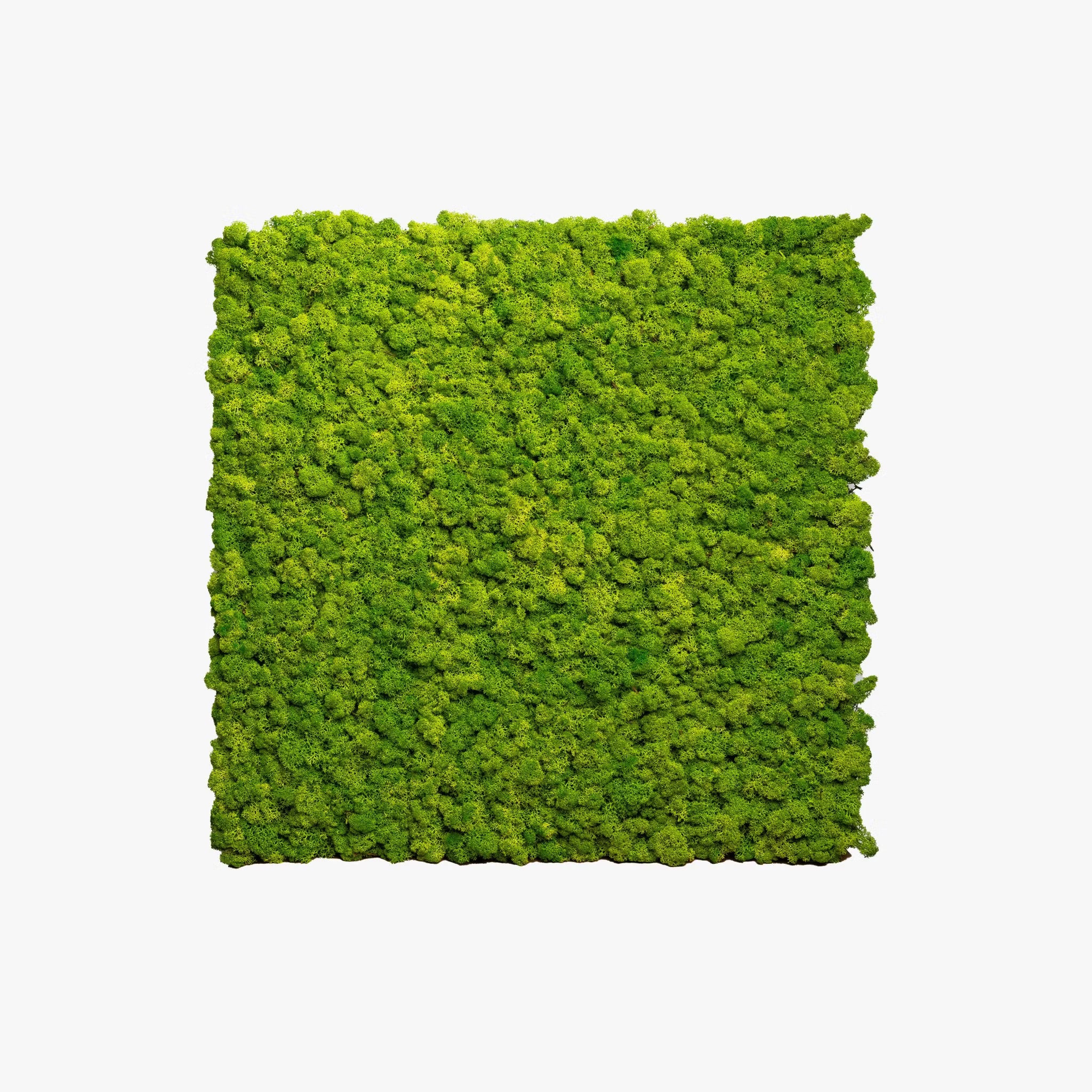 WoodUpp®Moss panels