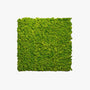 WoodUpp®Moss panels