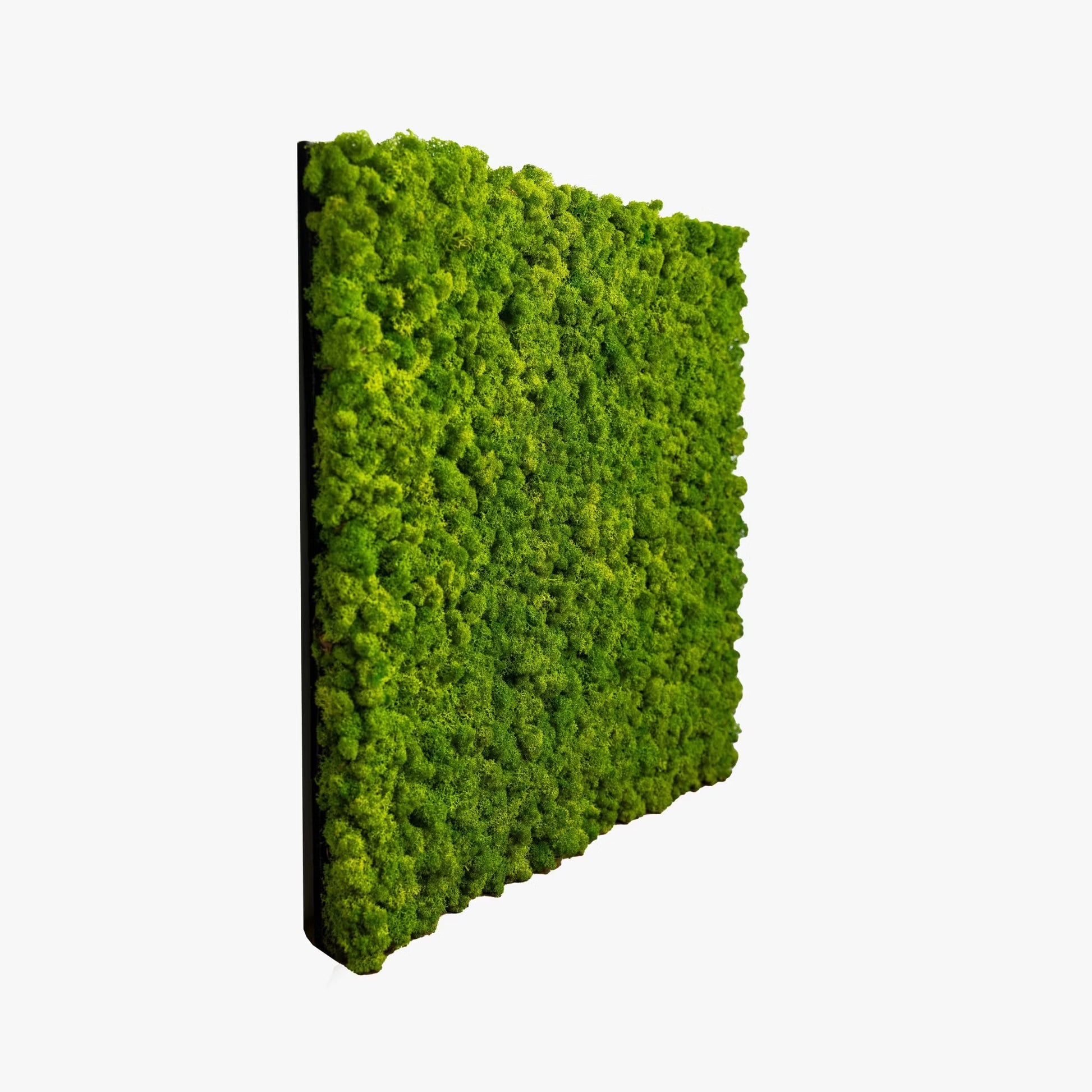 WoodUpp®Moss panels
