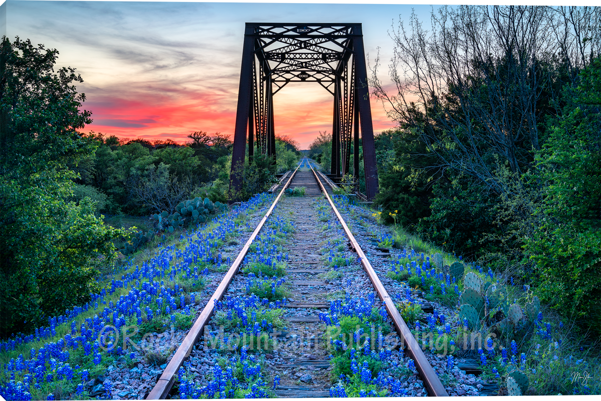 Blue Bonney Beauty- Wall Art
