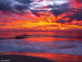 Coastal Skyfire