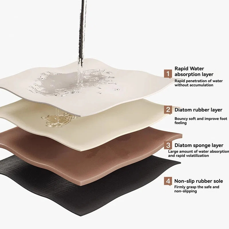 Decontamination Diatomaceous Earth Absorbent Bathroom Mat