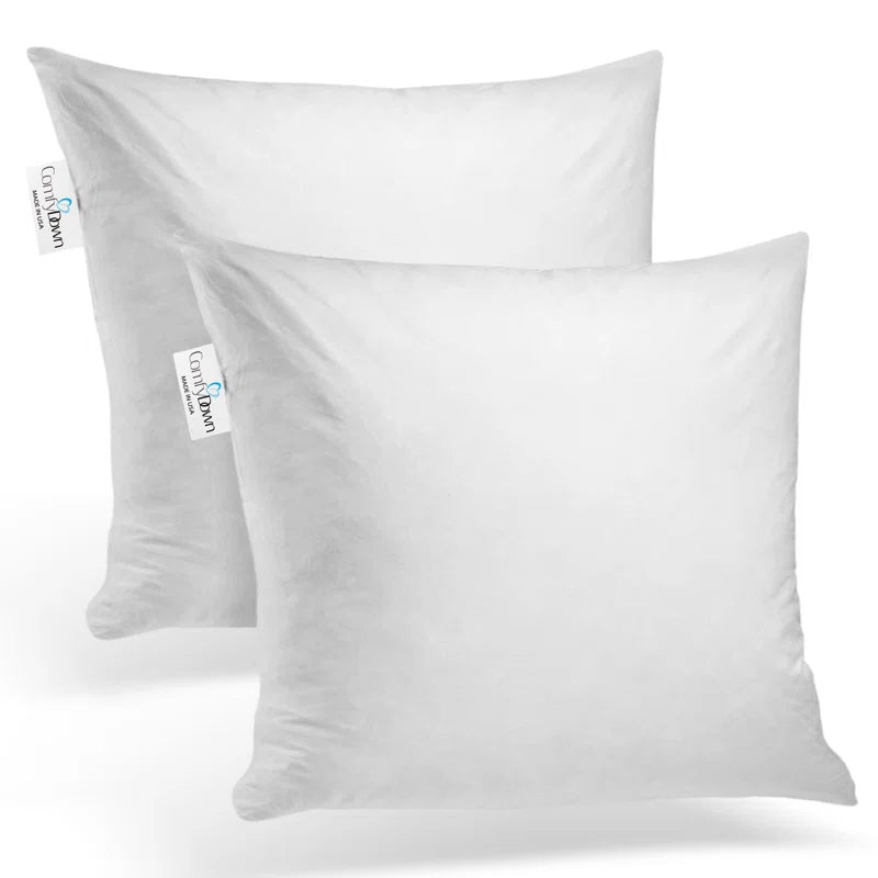 Decorative Down Feathers Fill Square Pillow Insert (Set of 2)