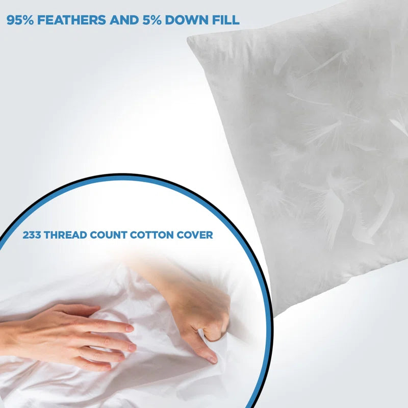 Decorative Down Feathers Fill Square Pillow Insert (Set of 2)