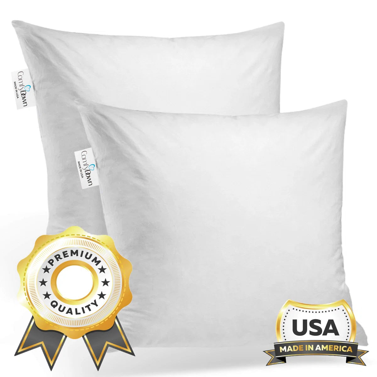 Decorative Down Feathers Fill Square Pillow Insert (Set of 2)