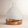 Decorative Glass Cloche with Metal Tray