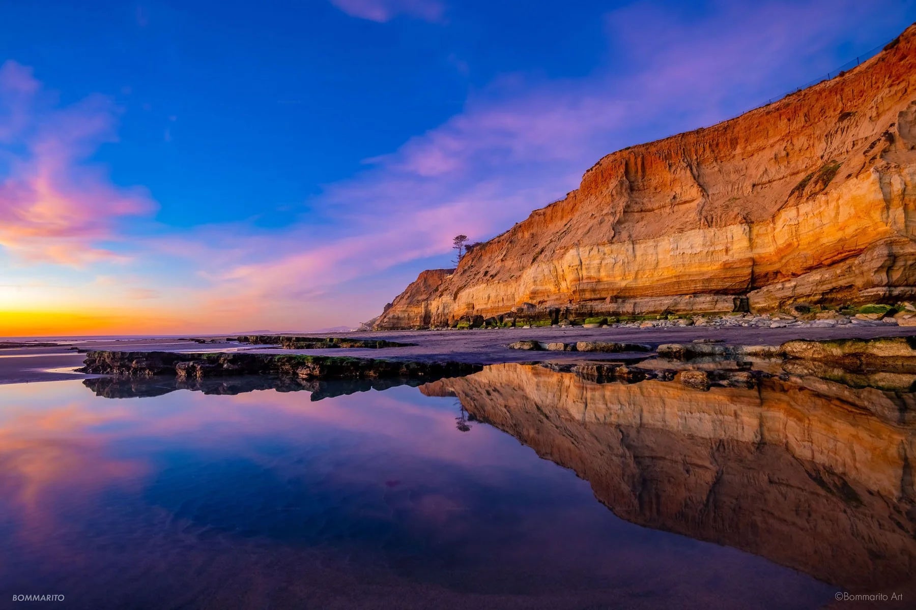 Del Mar Reflections