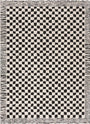 Leryn Black & White Checkered Area Rug