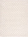 Leryn Ivory Checkered Area Rug