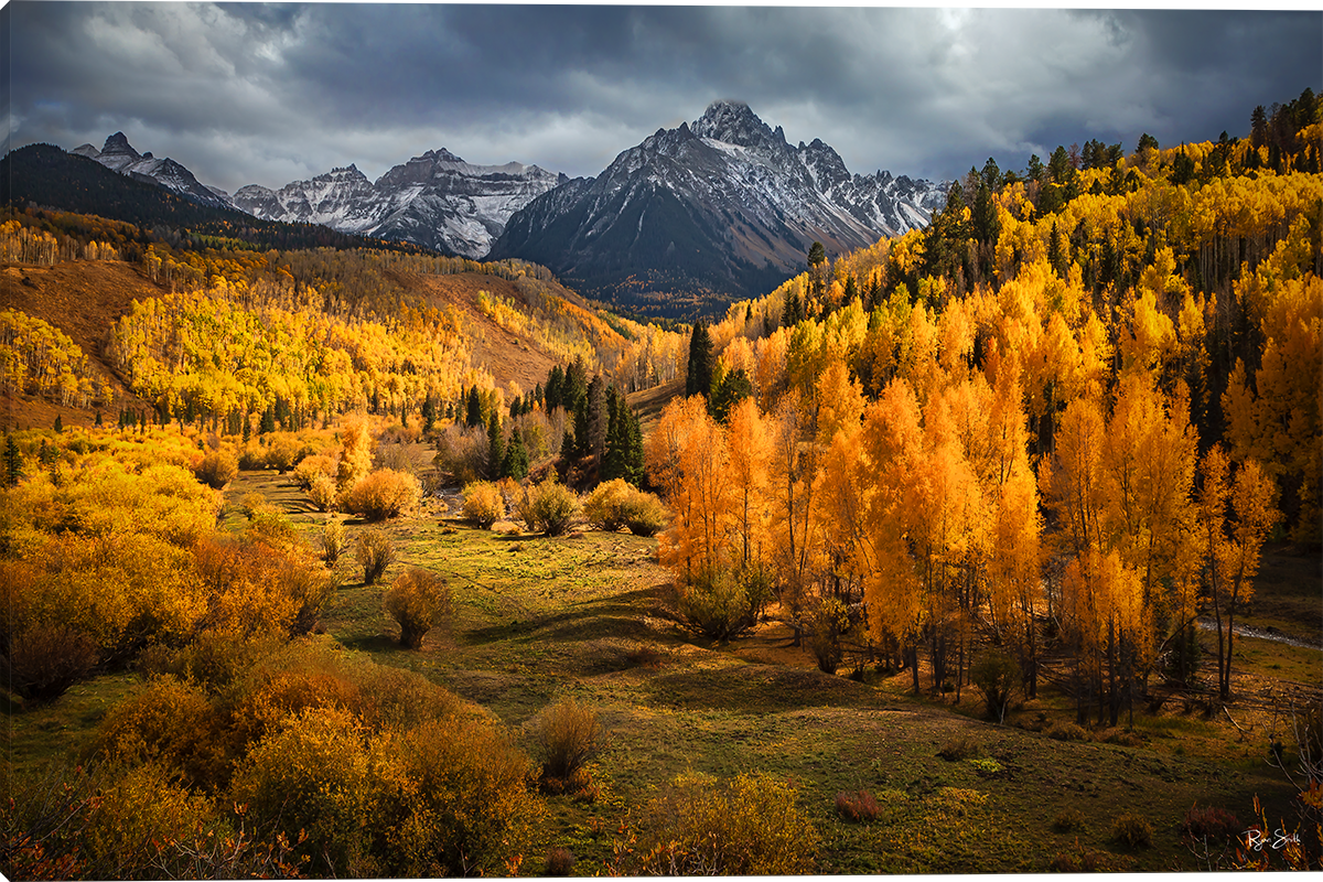 Golden Meadows - Wall Art