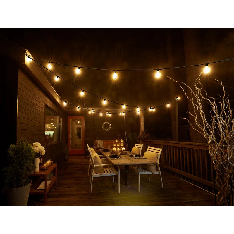 Jothan 48-ft Outdoor 15 - Bulb Standard String Light (End to End Connectable)