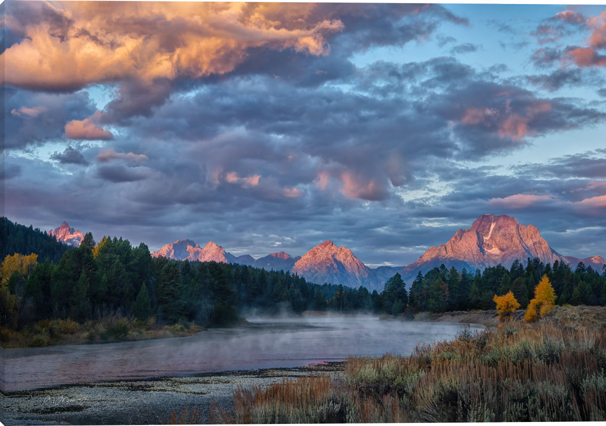 Morning Golden Rays - Wall Art