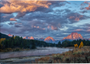 Morning Golden Rays - Wall Art