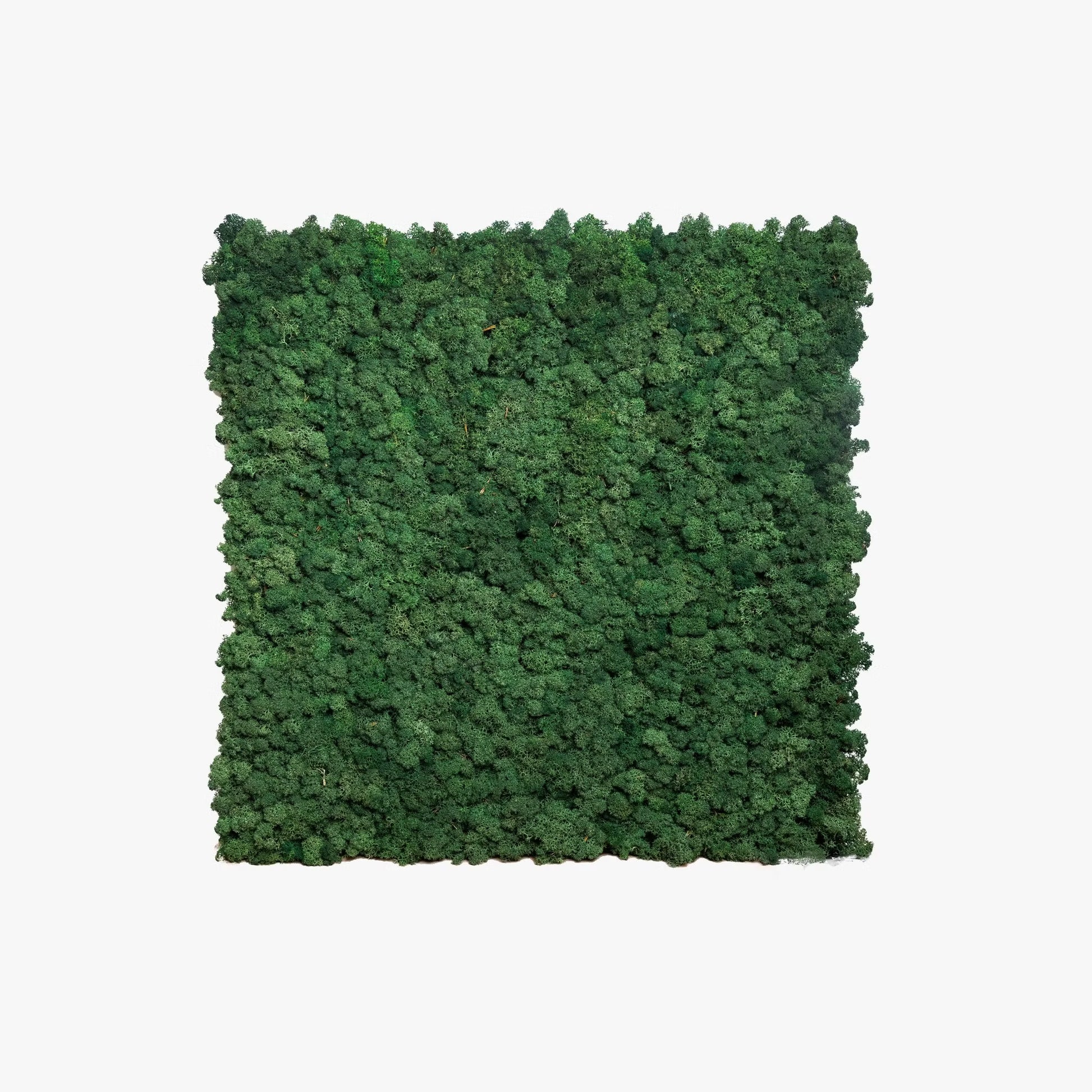 WoodUpp®Moss panels