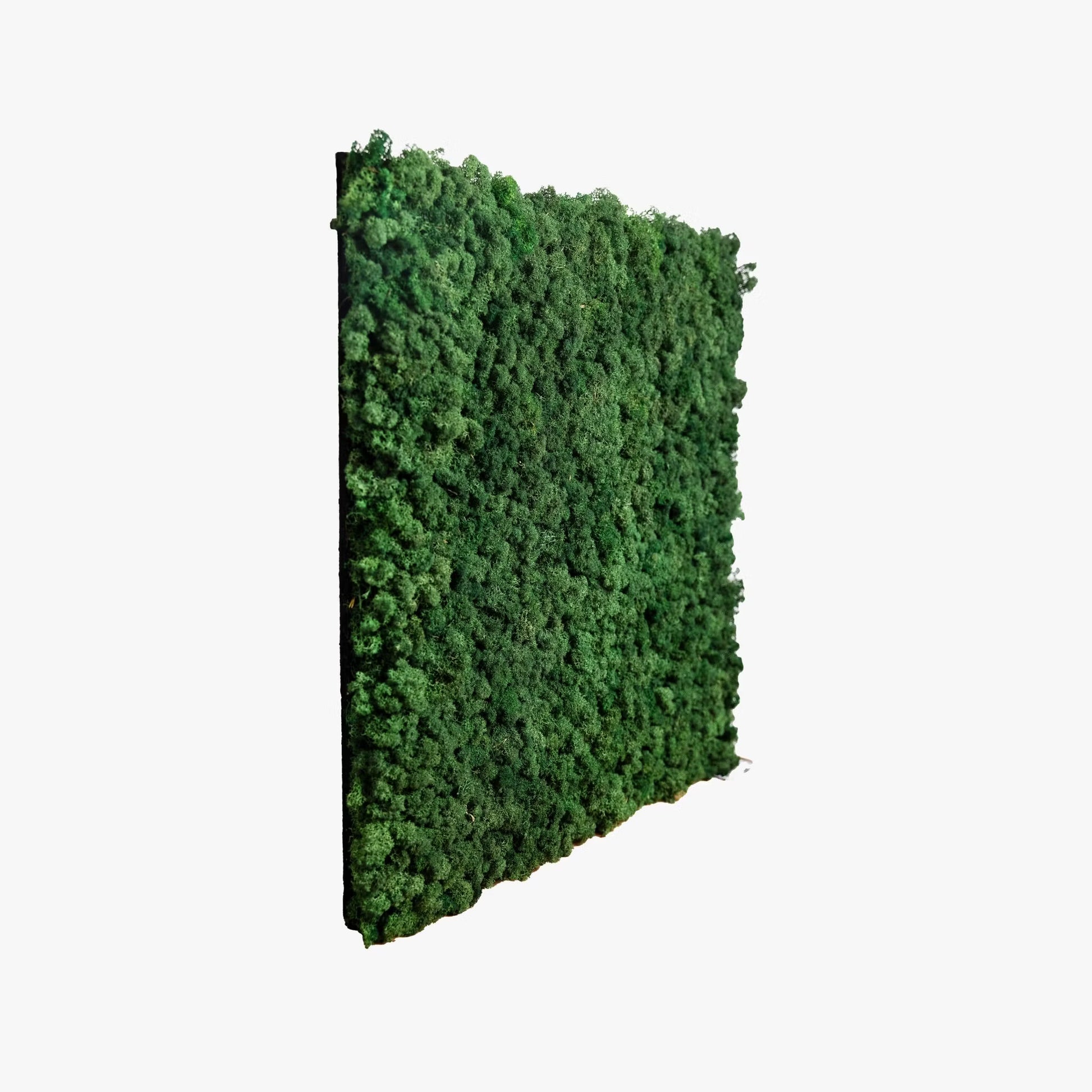 WoodUpp®Moss panels