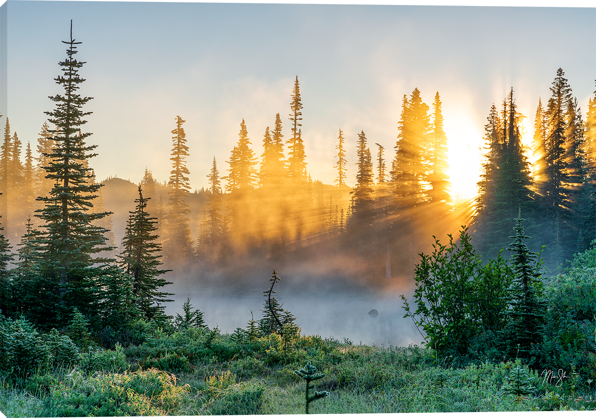 Sunbeam Sunrise - Wall Art