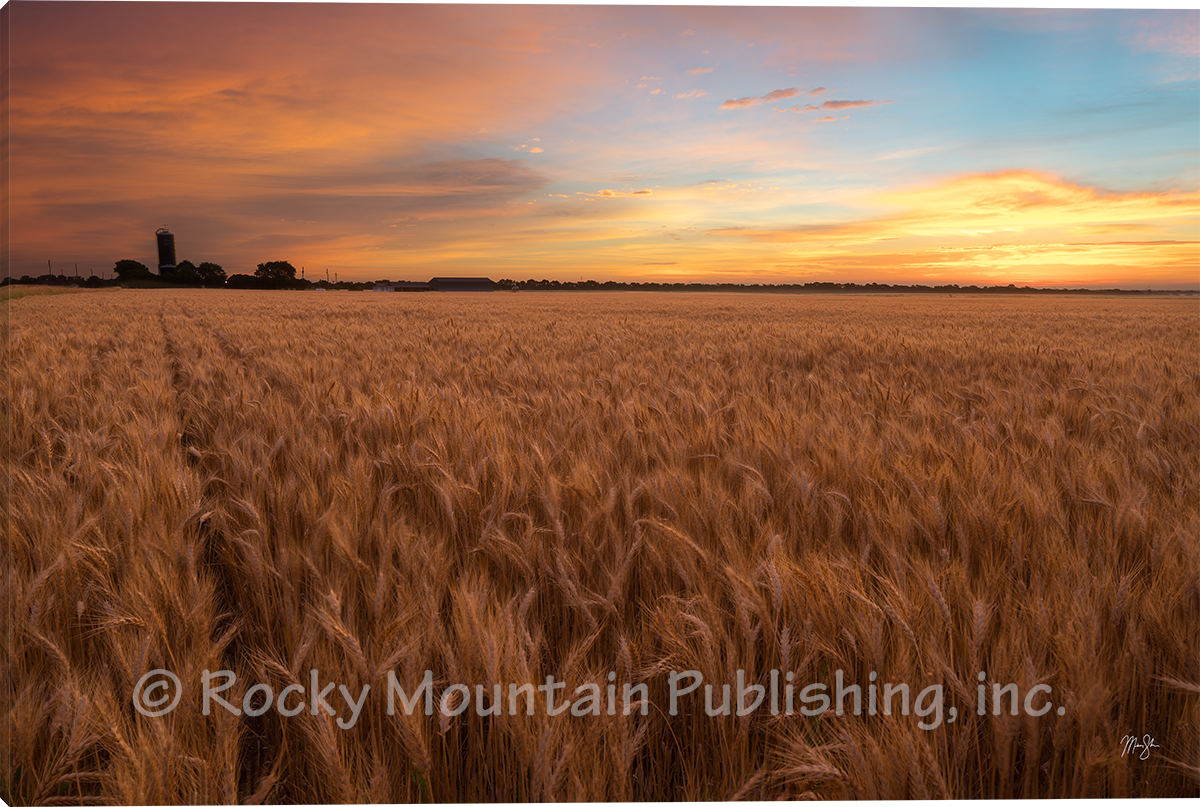 Sunrise Before Harvest - Wall Art