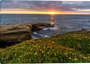 Sunset Cliffs of San Diego - Wall Art