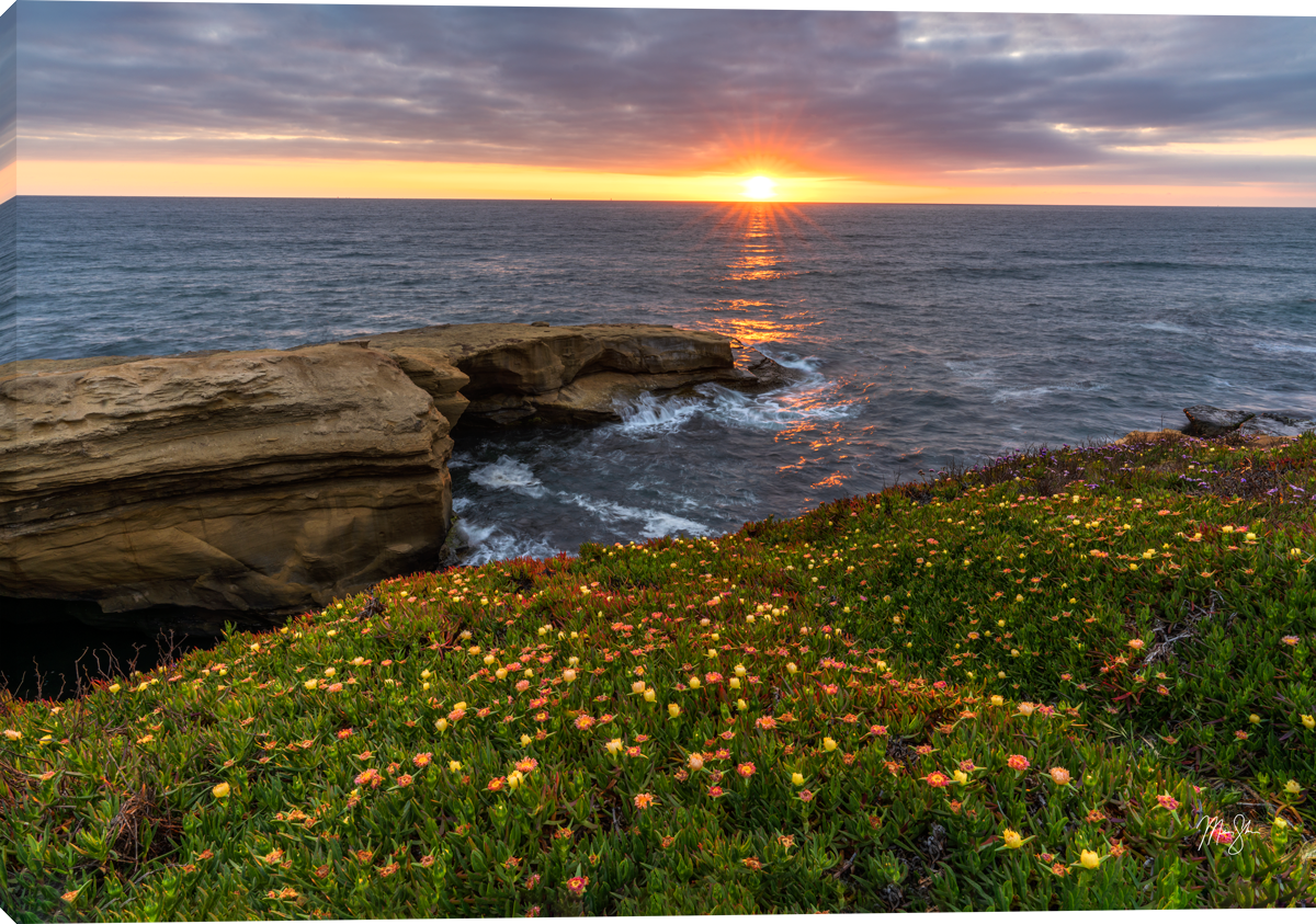 Sunset Cliffs of San Diego - Wall Art
