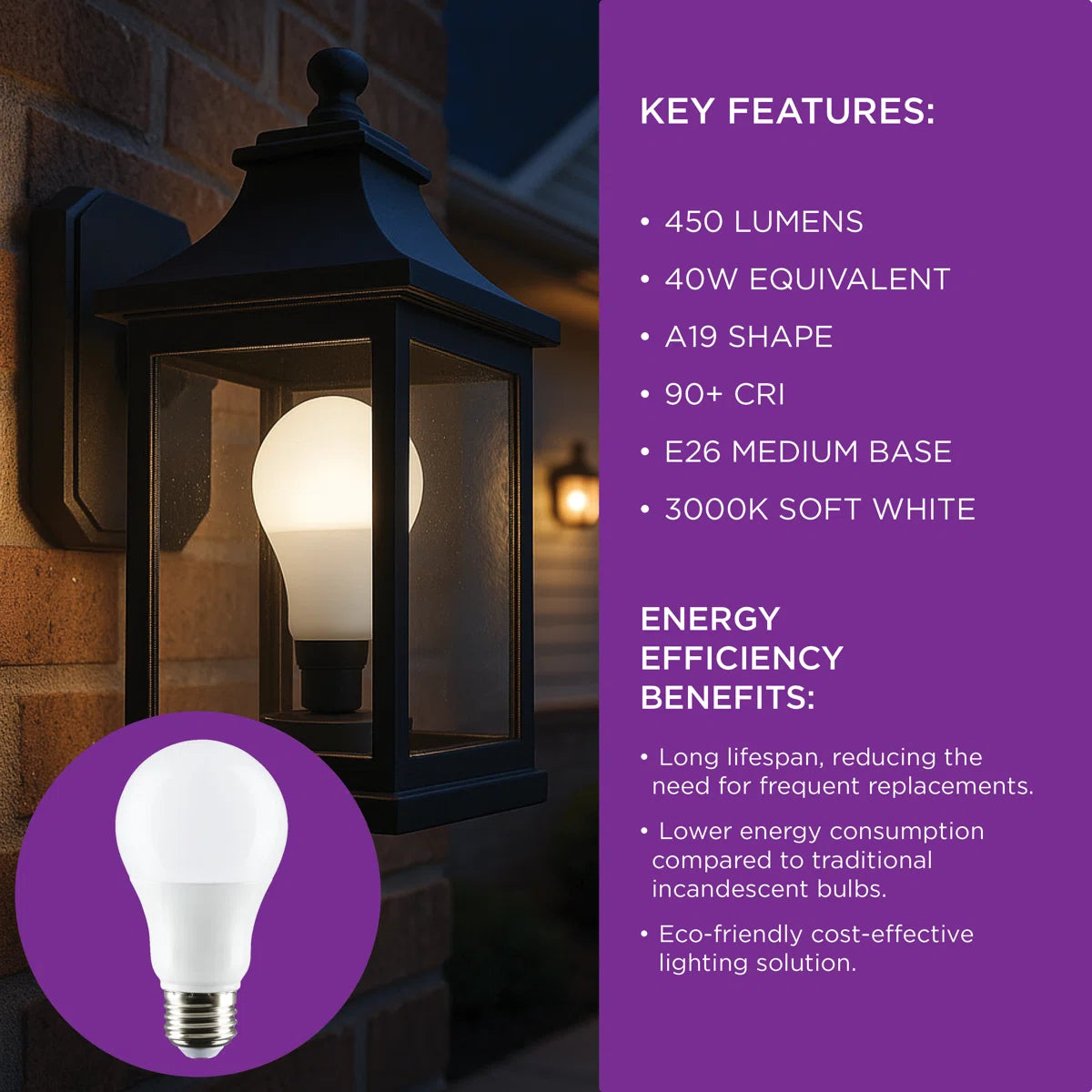 Basics® 5.5 Watt (40 Watt Equivalent), A19 LED, Light Bulb, Warm White, E26/Medium (Standard) Base (Set of 4)