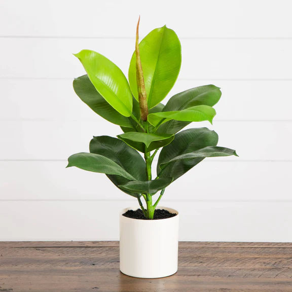 20" Artificial Fiddle Leaf Fig Plant