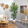 7’ Kentia Artificial Palm in Handmade Natural Jute and Cotton Planter