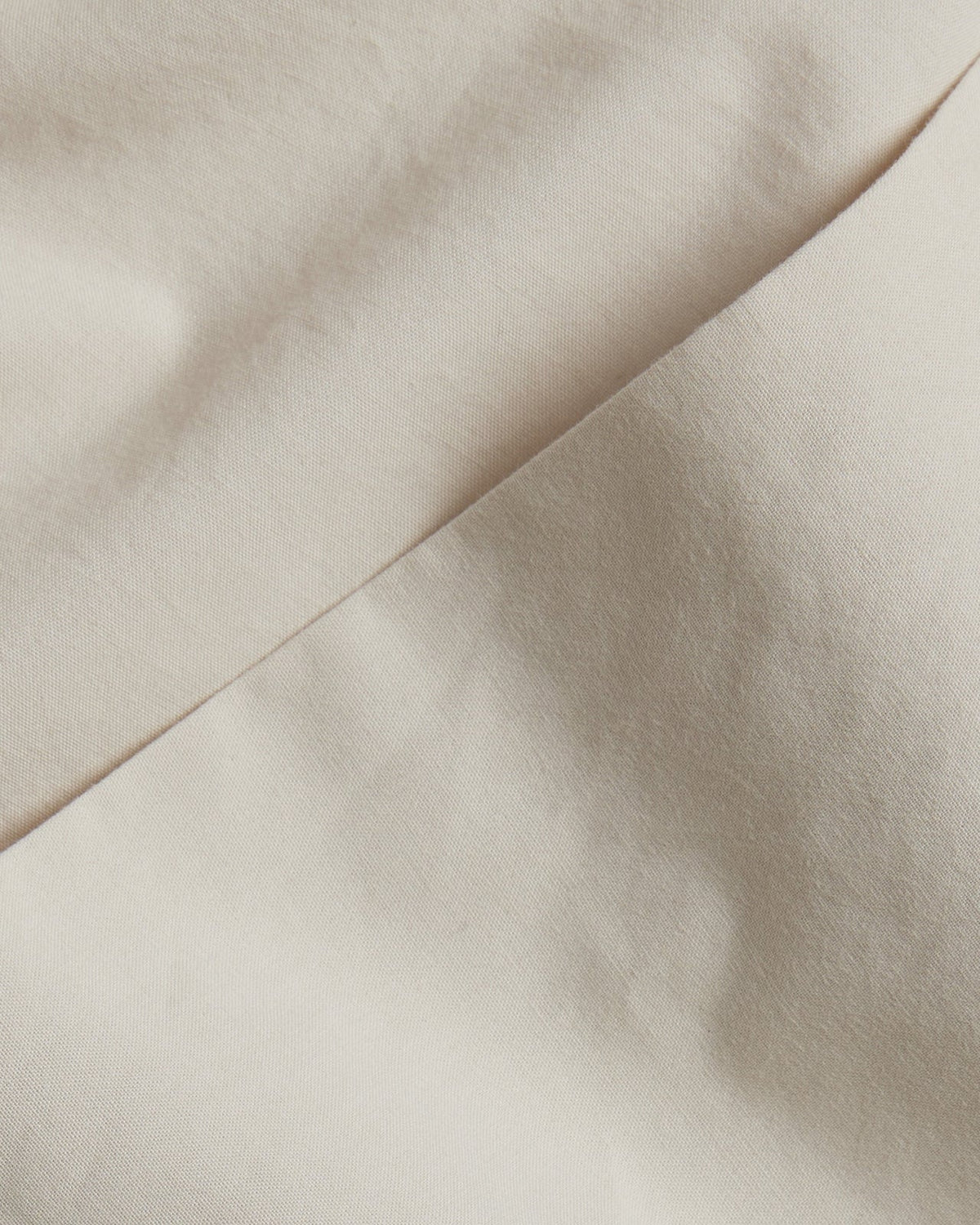 Brushed Cotton Euro Sham (Bone)