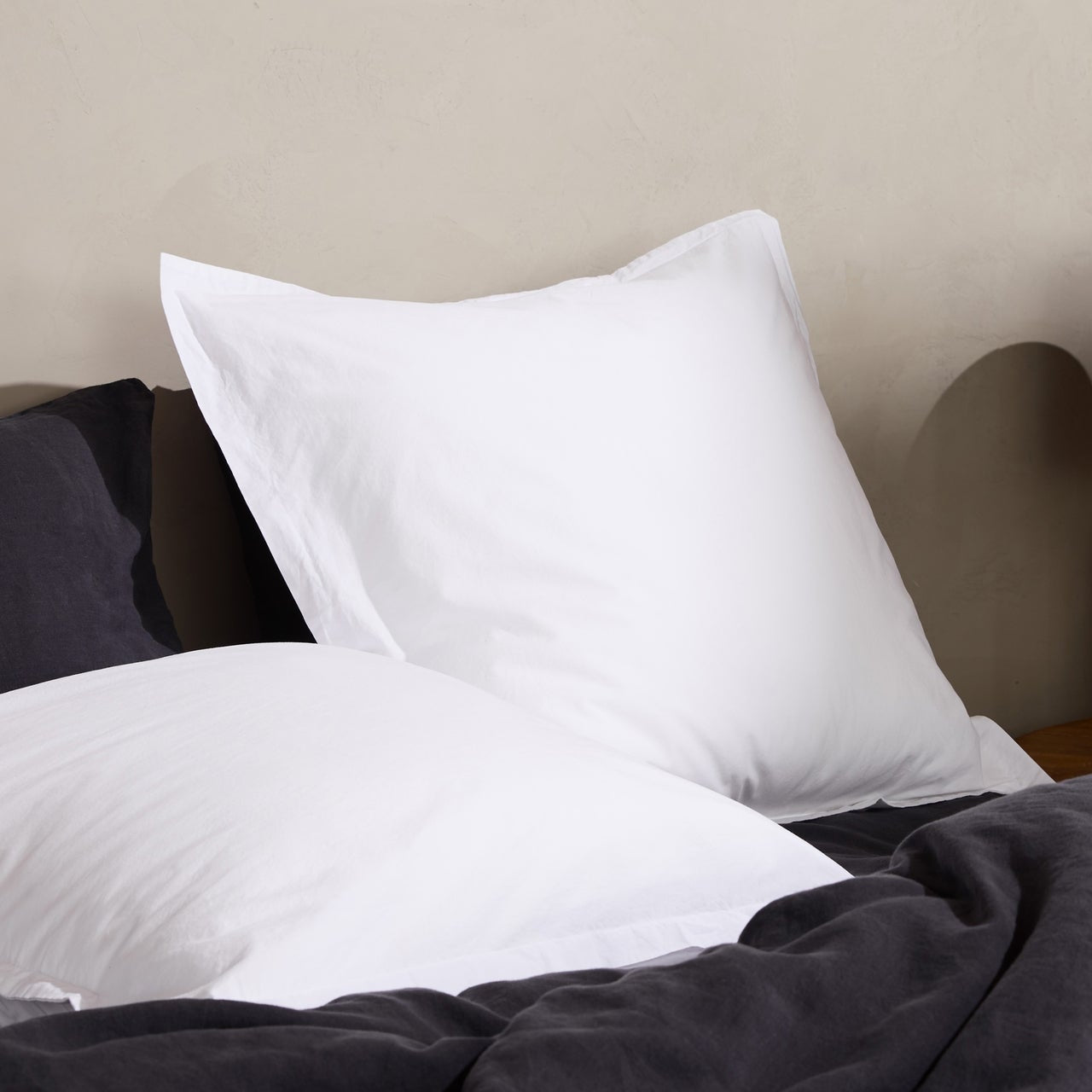 Brushed Cotton Euro Sham (White)