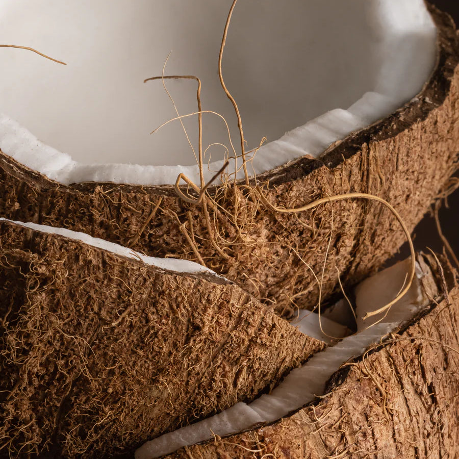 Coconut Calm