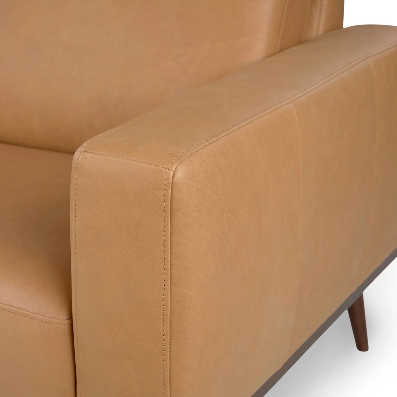 Rhett 63.5" Leather Loveseat