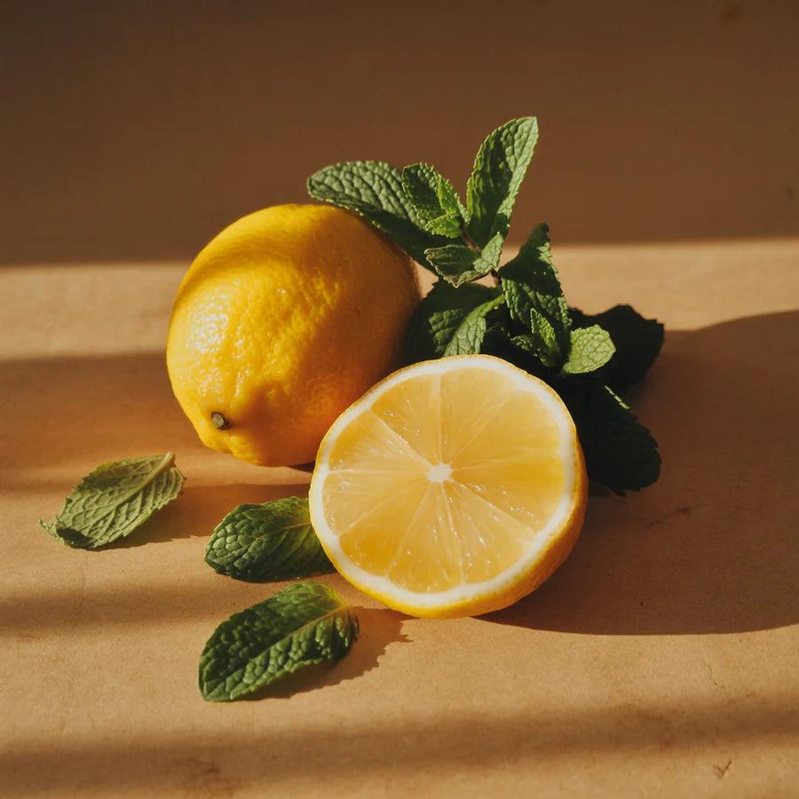 Amalfi Lemon & Mint - Fragrance Refill