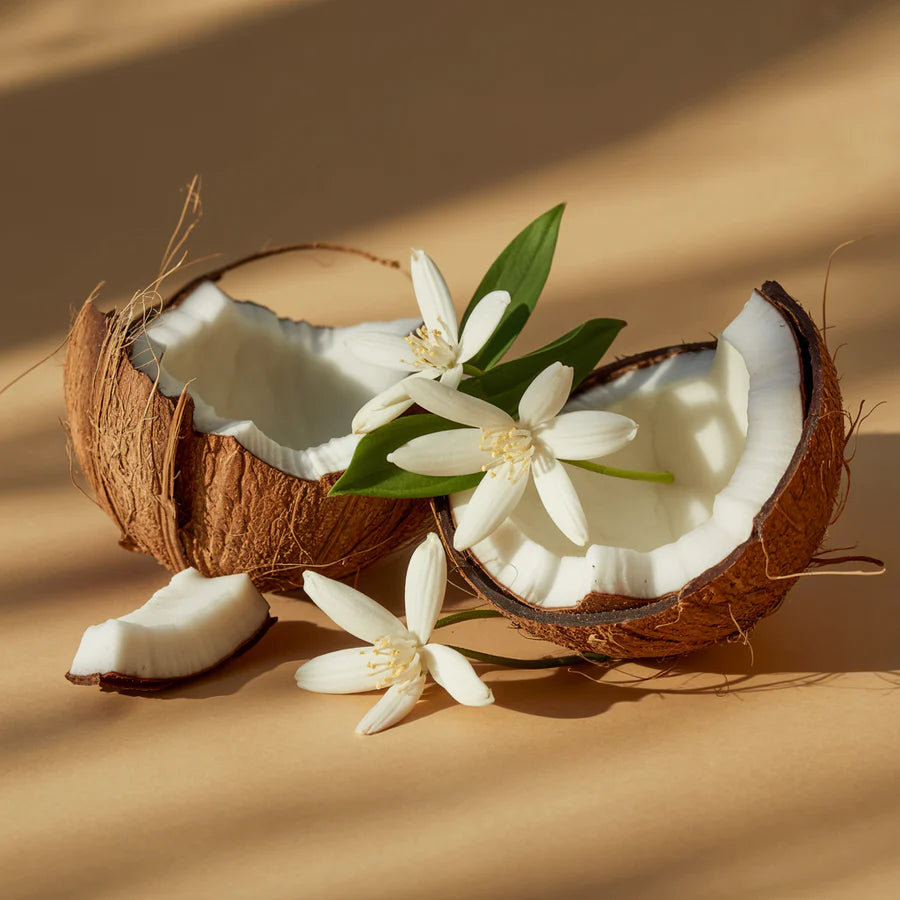 Coconut Calm - Fragrance Refill