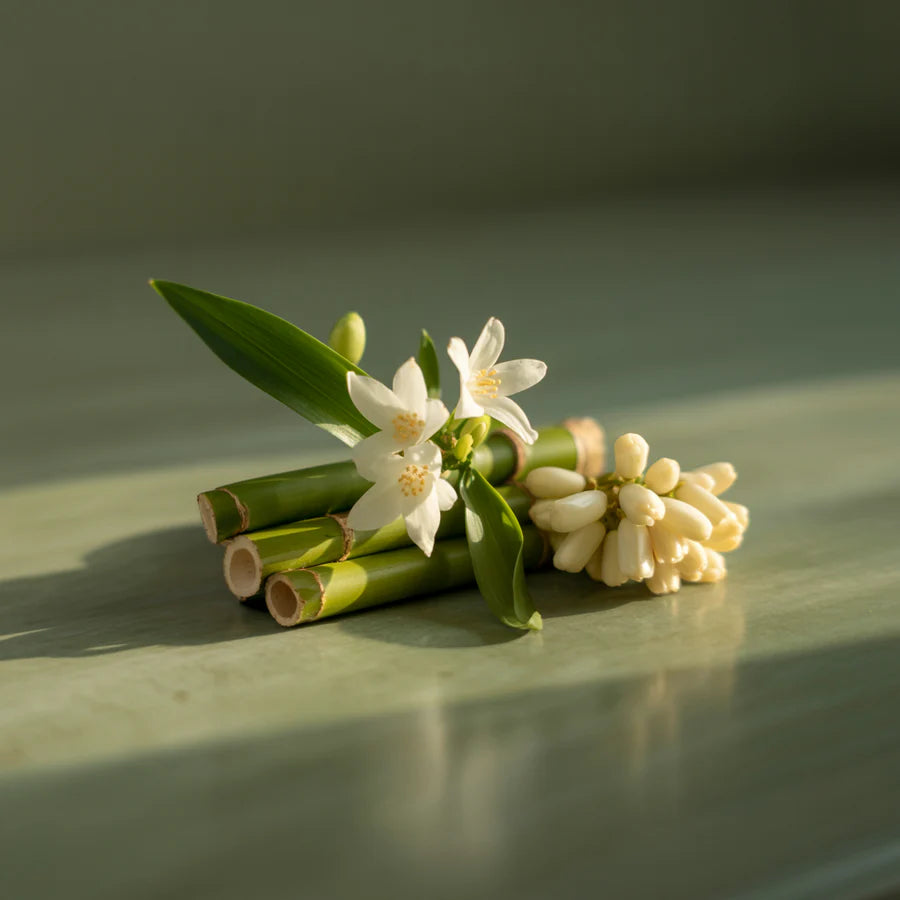 Bamboo - Fragrance Refill
