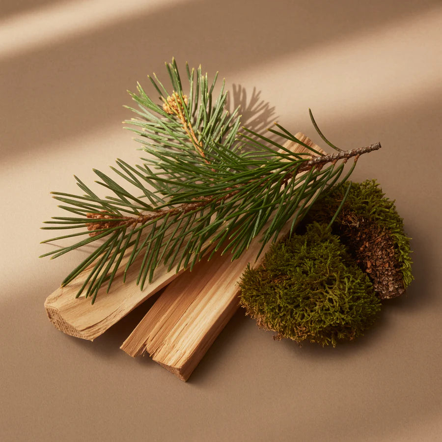 Frasier Fir - Fragrance Refill