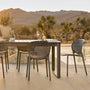 The Ofer x Dot Dining Bundle