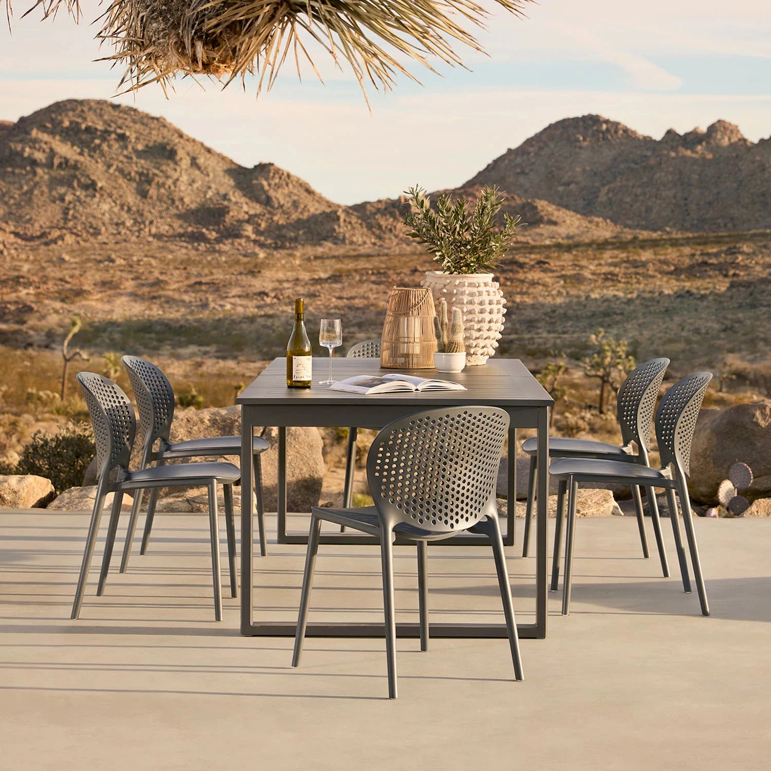 The Ofer x Dot Dining Bundle